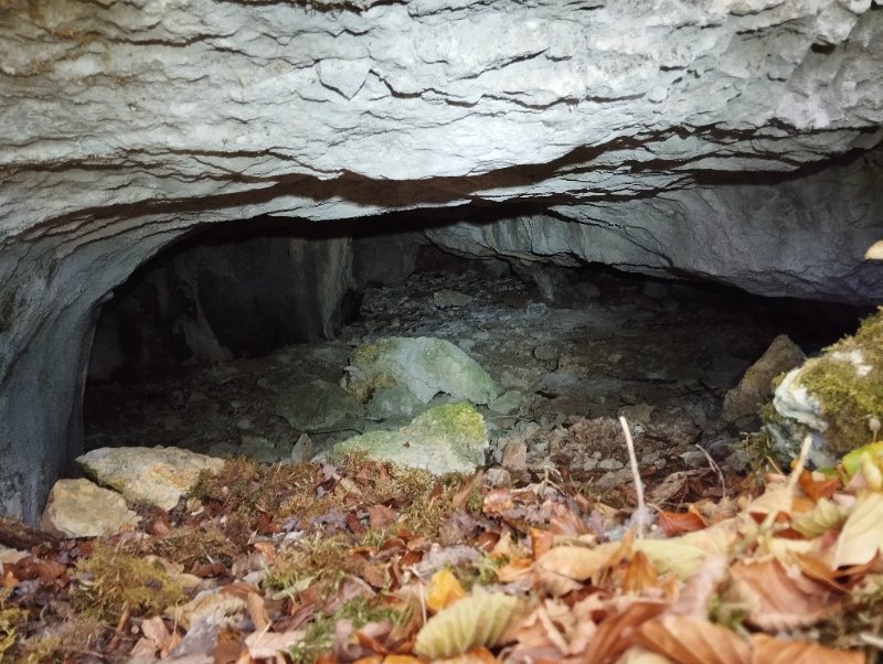 Gissey-sur-Ouche - grotte du champ de Cras numéro 2 - photo entrée cavité, Aurélien Bloch.jpg
Fichier manquant